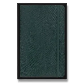 Zápisník Moleskine Precious & Ethical Vegea Boa - měkké desky L, linkovaný, zelený